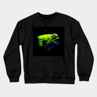 Moray Crewneck Sweatshirt